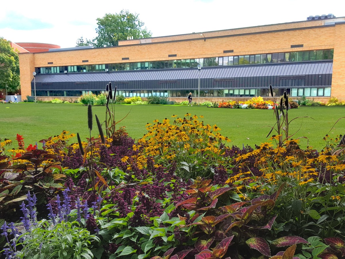 Two Different Worlds Within 100&nbsp;Meters