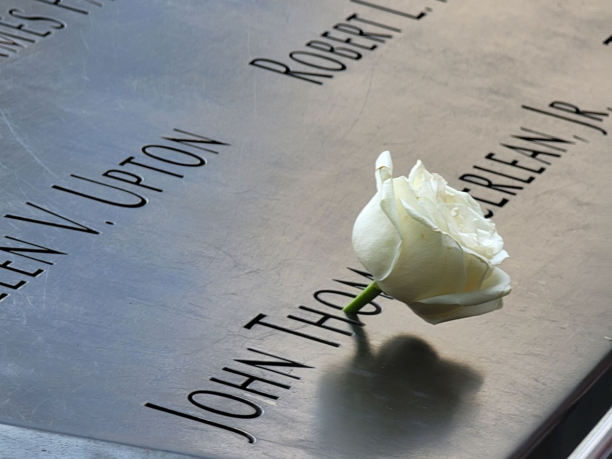 The Pivot: Finding a way&nbsp;Forward